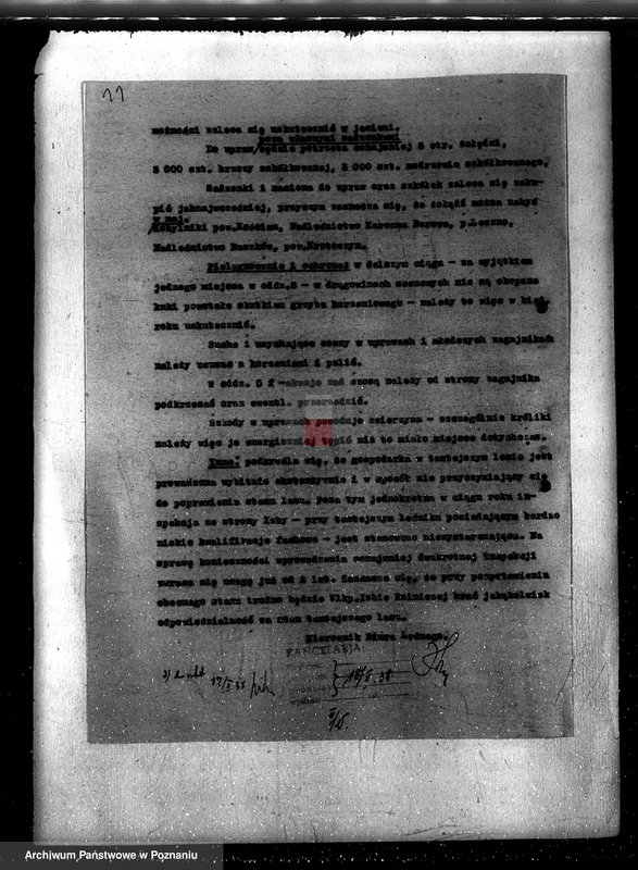 Obraz 15 z jednostki "Napachanie powiat poznański nadzór nad gospodarką leśną"