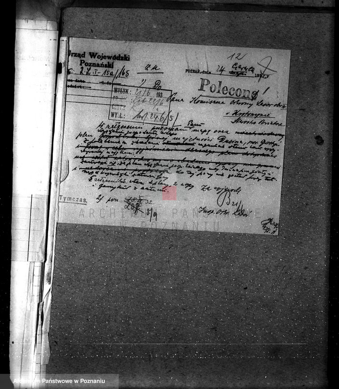 Obraz 16 z jednostki "Nadzór nad gospodarką w lasach majątku Dusina w powiecie gostyńskim"