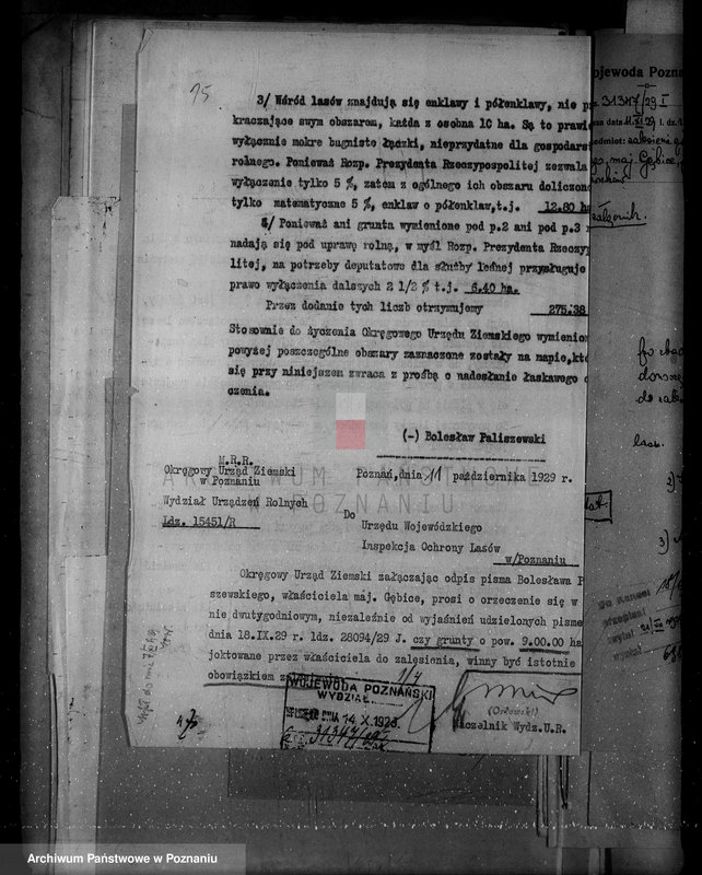 Obraz 19 z jednostki "/Nadzór nad lasami/ majętności Gębice powiatu czarnkowskiego"