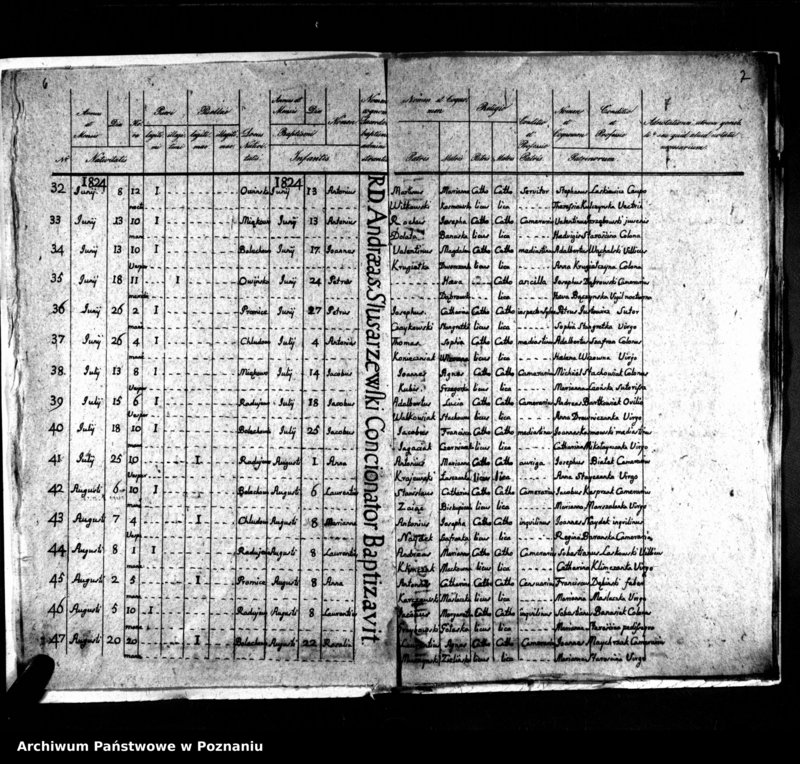 Obraz 6 z jednostki "Duplikat natorum, copulatorum, mortuorum"