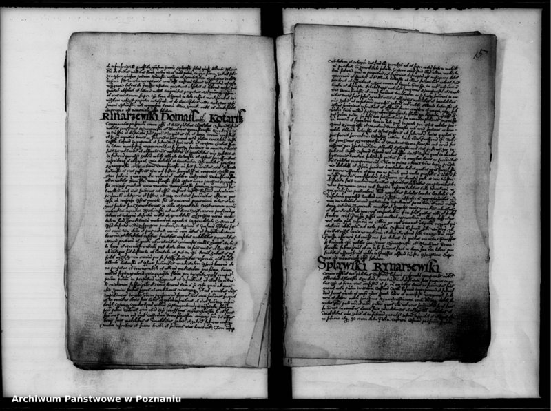 Obraz 18 z jednostki "Inscriptiones, relationes [inducta]"