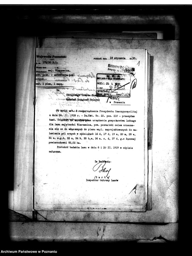 Obraz 5 z jednostki "Majątek Wierzenica powiatu poznańskiego wyłączenie z art. 4 i 5 ustawy o reformie rolnej August Cieszkowski"