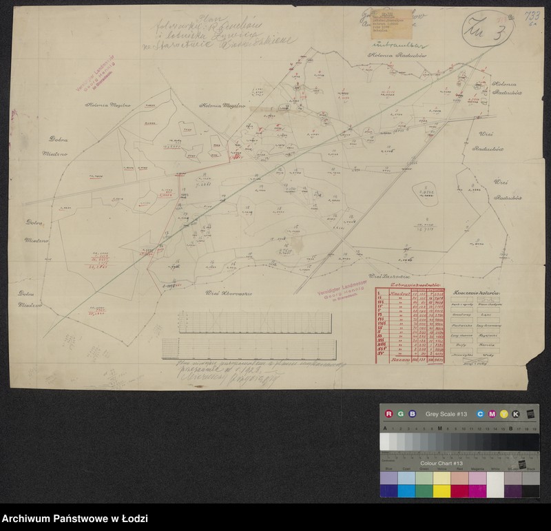 Obraz 1 z jednostki "Szkic folwarku Raduchów i letniska Żywica w starostwie sieradzkim"