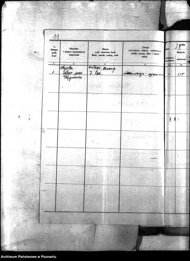 Obraz 14 z jednostki "Nosacizna - Wągrowiec"