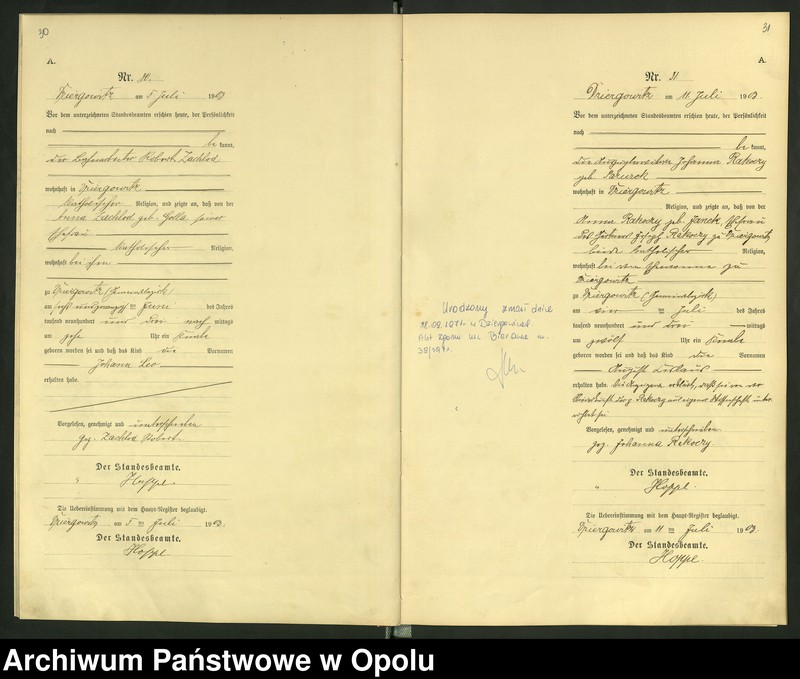 Obraz 19 z jednostki "Urząd Stanu Cywilnego Dziergowice Księga urodzeń rok 1903-05"