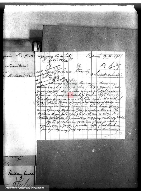 Obraz 19 z jednostki "Majętność leśna Chalin powiat międzychodzki"