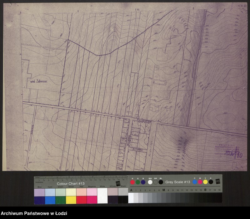 Obraz 1 z jednostki "Plan miasta Łodzi Sekcja NW 53"