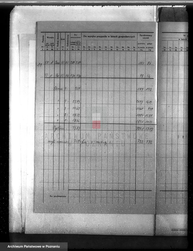 Obraz 15 z jednostki "Plan urządzenia gospodarstwa leśnego dla lasu ordynacji Kobylniki powiat szamotulski 1930-1940"