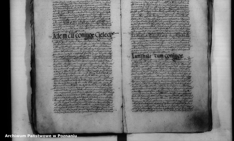 Obraz 19 z jednostki "Inscriptiones [inducta]"