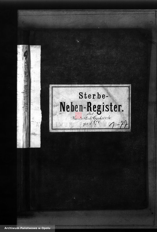 Obraz 2 z jednostki "Sterbe-Neben-Register des Standes Amt Leubusch pro 1878"