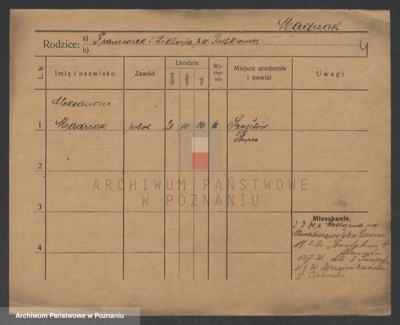 Obraz 6 z jednostki "Mędrzak - Meglich (Moeg..)"