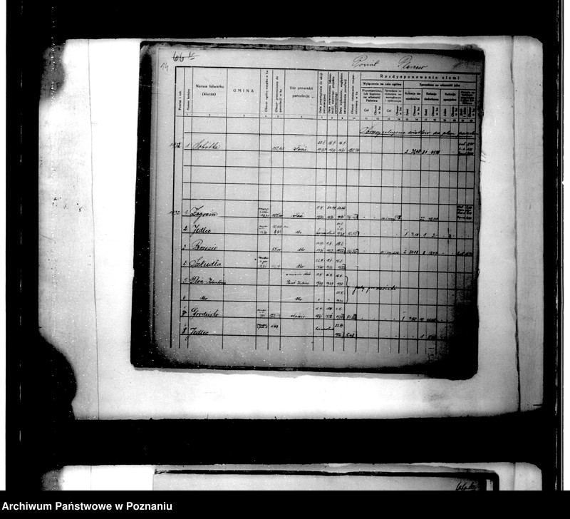 Obraz 18 z jednostki "Parcelacja instytucjonalna /wykaz obejmujący teren powiatu jarocińskiego"