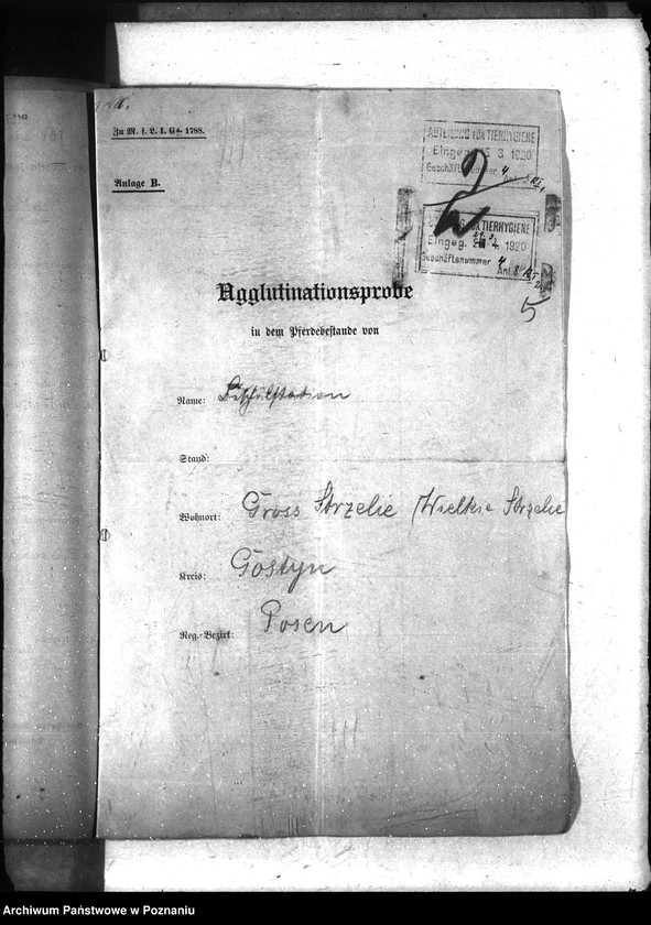 Obraz 9 z jednostki "Nosacizna - Gostyń"