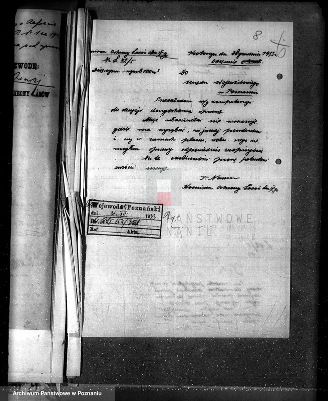 Obraz 12 z jednostki "Majętność leśna Dzięczyna w powiecie gostyńskim"