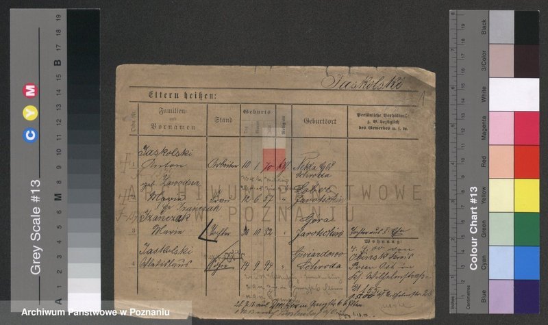 Obraz 1 z jednostki "Jaskulski - Jaszczyk"