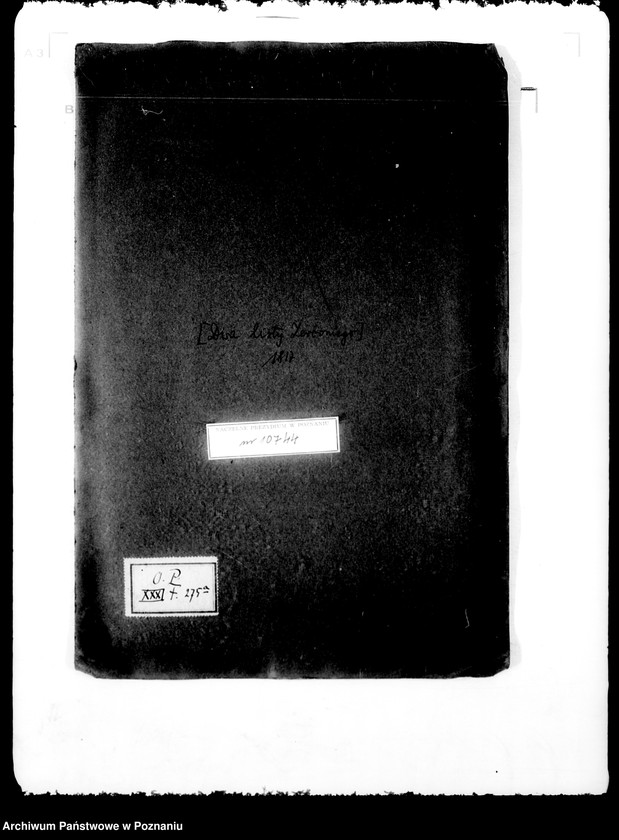 Obraz 4 z jednostki "/Dwa listy Zerboniego/."