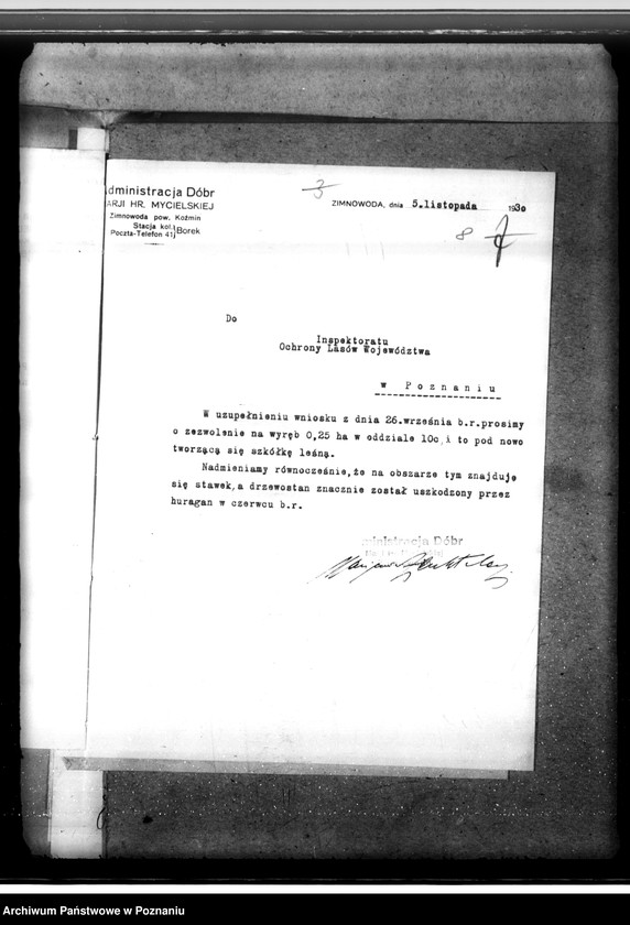 Obraz 12 z jednostki "Majętność leśna Zimnawoda w powiecie gostyńskim"