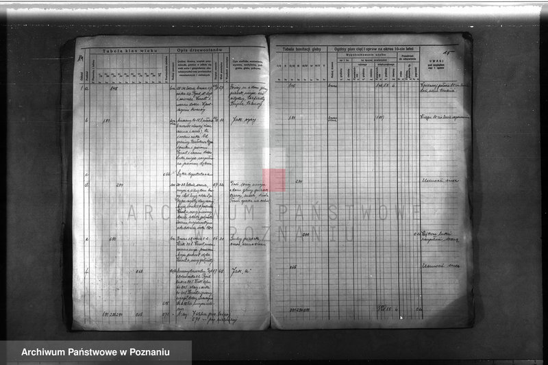 Obraz 16 z jednostki "Plan urządzenia gospodarstwa leśnego lasu majętności Łężeczki w powiecie międzychodzkim 1930-1939"
