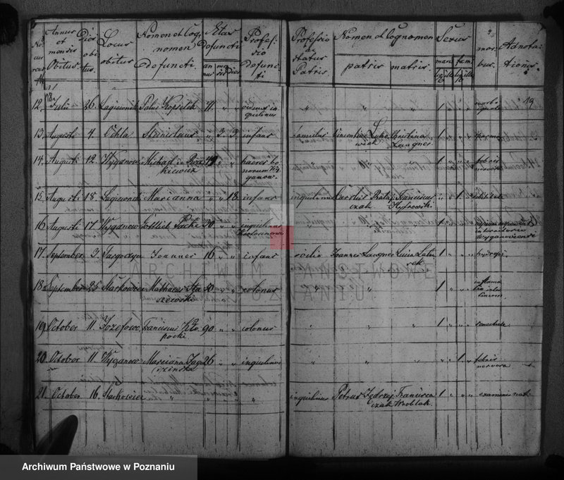 image.from.unit.number "Księga urodzeń, małżeństw i zgonów"