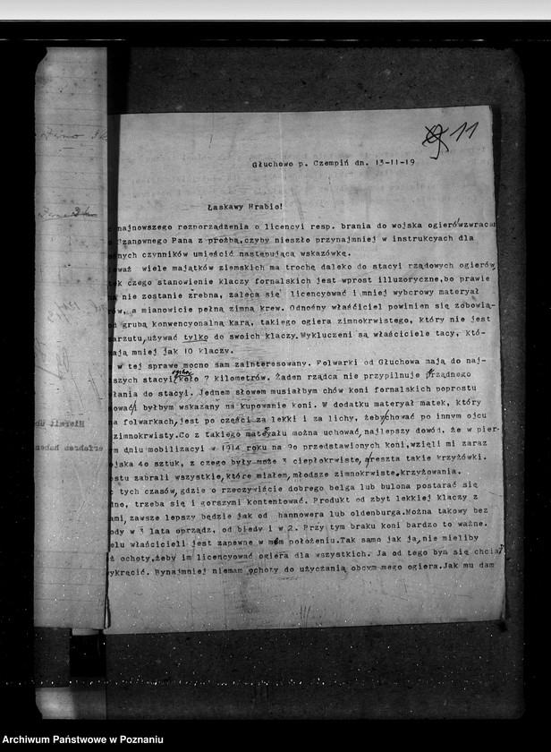 Obraz 15 z jednostki "Sprawy stadnin stadniny - ogólne zarządu stadnin"