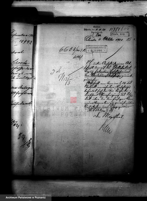 Obraz 18 z jednostki "Urzędnicy Komunalni miasta Środy"