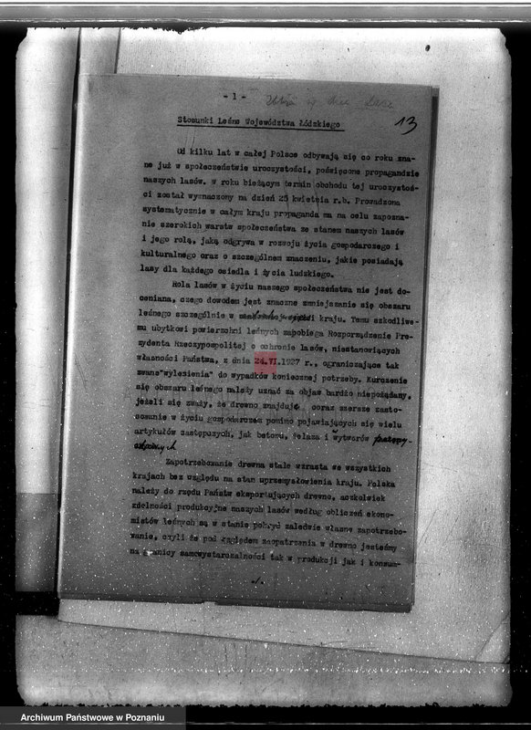 Obraz 16 z jednostki "Sprawa pojawienia się borecznika w lasach majątku Dąbia powiatu kolskiego"