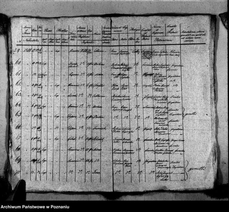 Obraz 9 z jednostki "Liber baptisatorum, copulatorum, mortuorum"