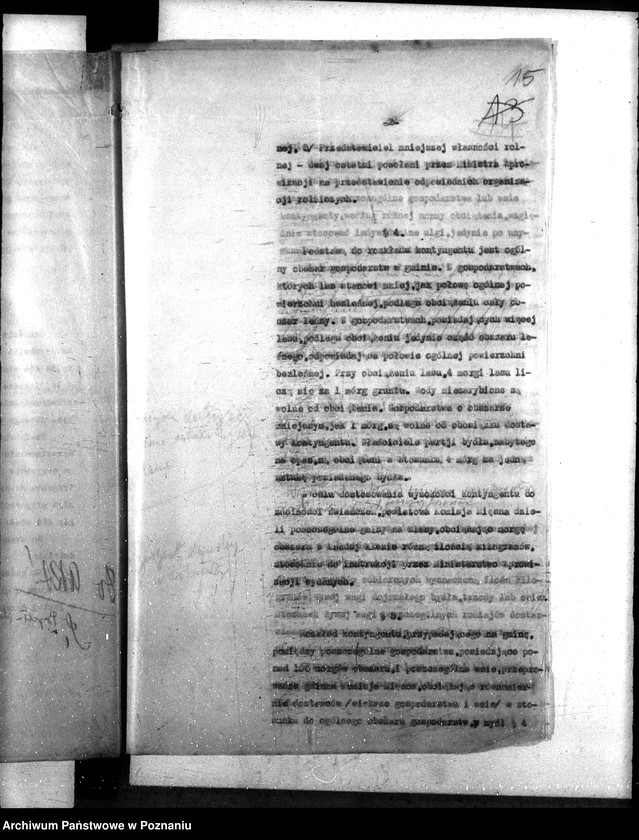 Obraz 19 z jednostki "Bydło kontyngent"