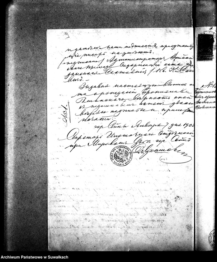 Obraz 13 z jednostki "Dokumenty k aktam brakosočetavšichsja Sejnskago Rimsko-Katoličeskago Prichoda za 1902 god."