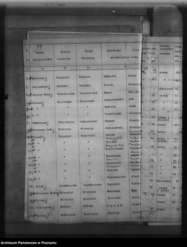 Obraz 15 z jednostki "Lasy do 30 ha na terenie powiatu poznańskiego"