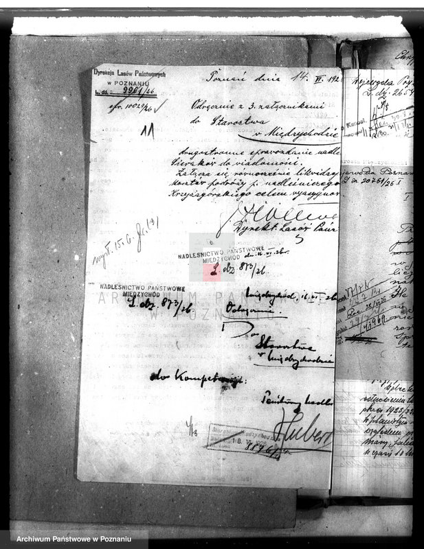 Obraz 16 z jednostki "Majętność leśna Chalin powiat międzychodzki"