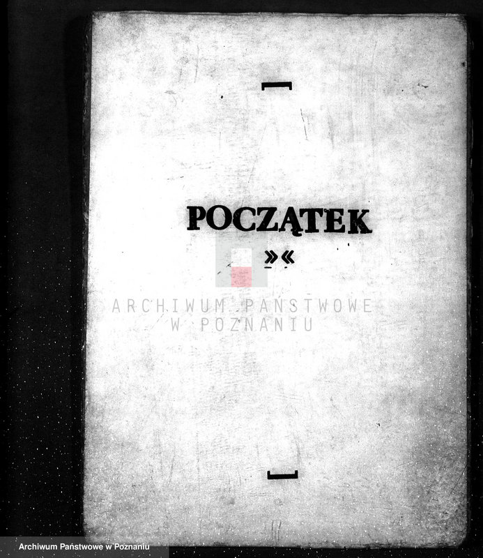 Obraz 3 z jednostki "Las majętność Śniaty powiat kościański"