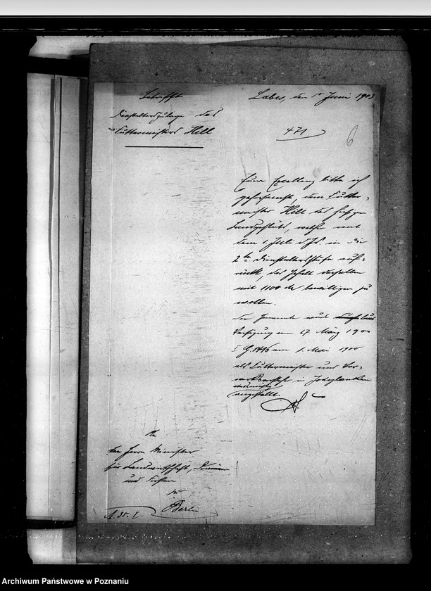 Obraz 10 z jednostki "Akta betr. fuer Anstellung und Versetzungen der Gestuet - Beamten."