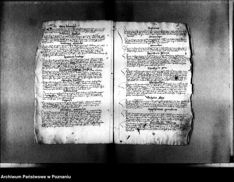 Obraz 15 z jednostki "Resignationes ,inscriptiones, relationes, decreta [protocollon]"