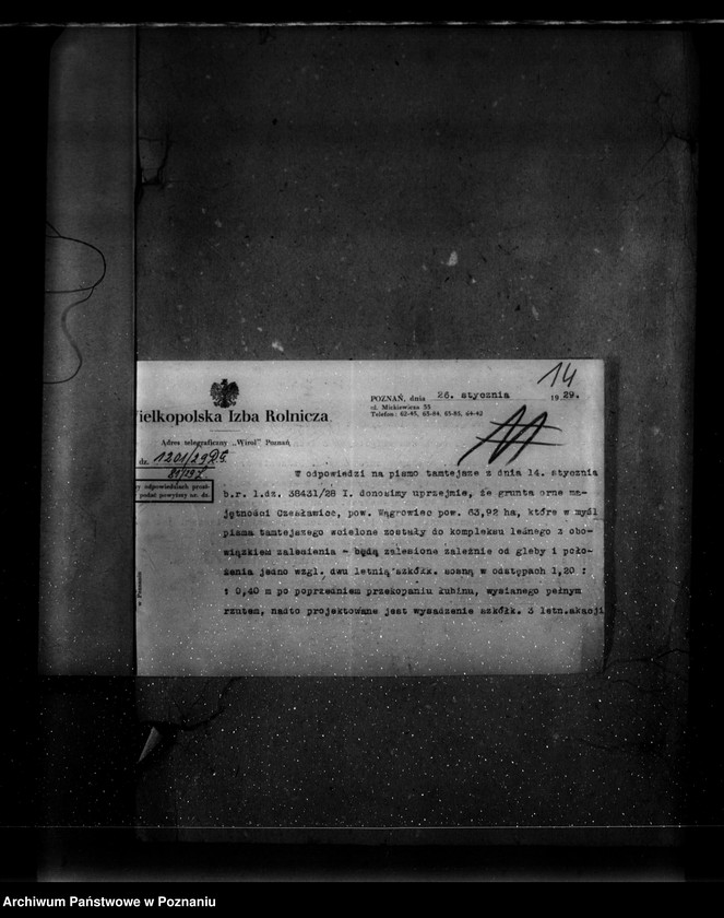 Obraz 20 z jednostki "Majętność leśna Czesławice powiat wągrowiecki własność Koerner"