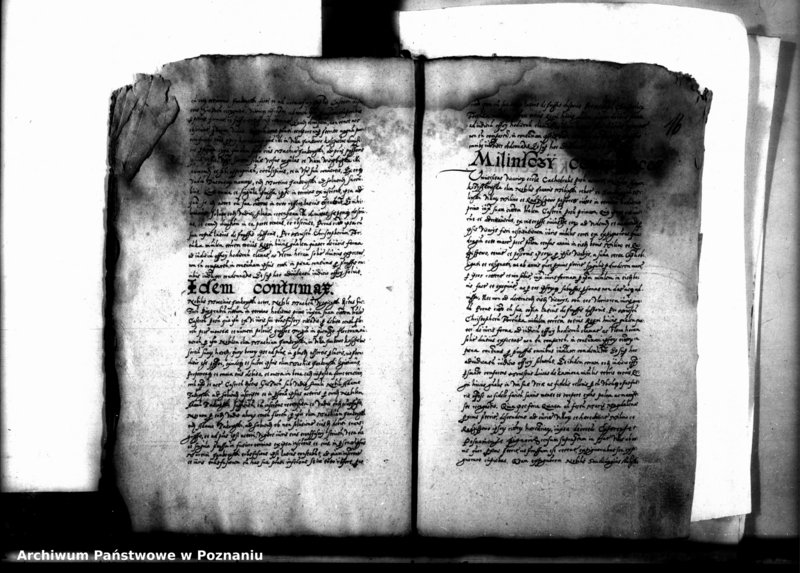 Obraz 19 z jednostki "Decreta officii [inducta]"