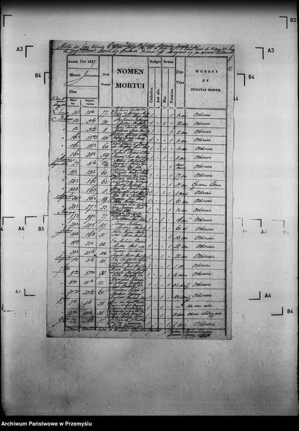 image.from.unit.number "[Kopie ksiąg metrykalnych parafii Jaworki z filiami Biała Woda, Czarna Woda (dekanat Muszyna)]"