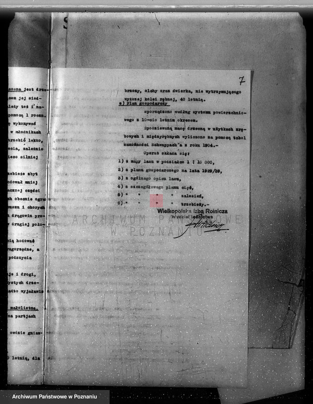 Obraz 13 z jednostki "Plan urządzenia gospodarstwa leśnego dla lasu majętności Lizie powiat nowotomyski"