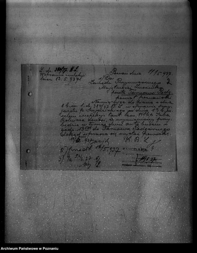 Obraz 6 z jednostki "Nadzór nad gospodarką w lasach majętności Lusówko powiatu poznańskiego"