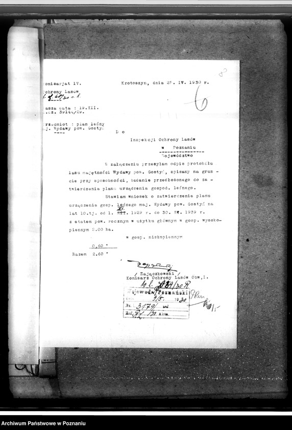 Obraz 12 z jednostki "Lasy majętności Wydawy w powiecie gostyńskim"