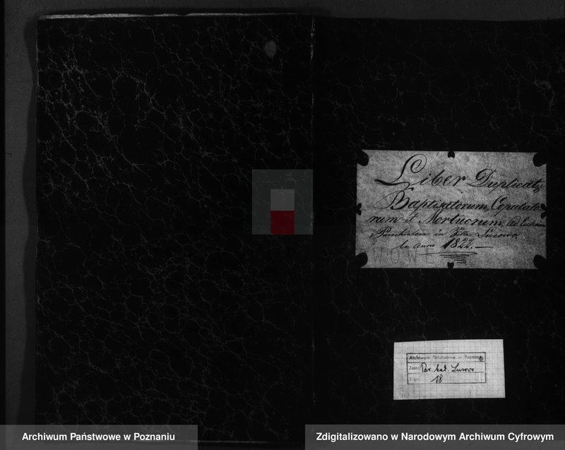 Obraz 2 z jednostki "Duplicatus baptisatorum, copulatorum, mortuorum"