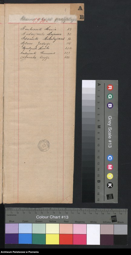 Obraz 3 z jednostki "Indeks zgonów"