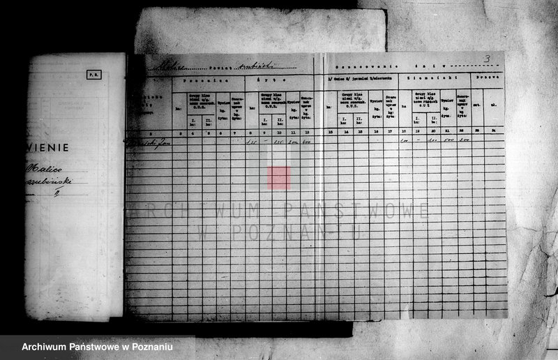 Obraz 7 z jednostki "Majątek Malice powiatu szubińskiego operat szacunkowy"