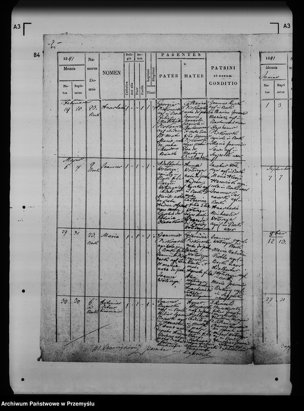 image.from.unit.number "[Kopie ksiąg metrykalnych parafii Dąbrówka z filiami Borki, Dąbrowica, Golce, Jarocin, Kurzyna Mała, Kurzyna Wielka, Szyperki, Wólka Tanewska, Żdżany (dekanat Leżajsk)]"