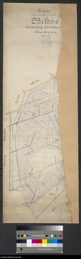 Obraz 1 z jednostki "Projekt założenia sączków w majątku Bełdów powiat łódzki gubernia piotrkowska. Obszar 103,70 mórg"