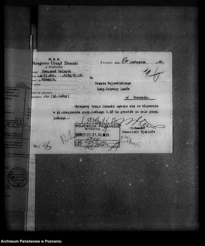 Obraz 16 z jednostki "Majętność /leśna/ Wieszkowo powiat kościański"