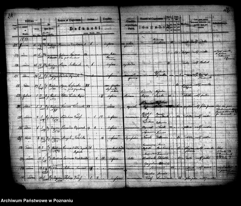 Obraz 12 z jednostki "Księga zgonów"