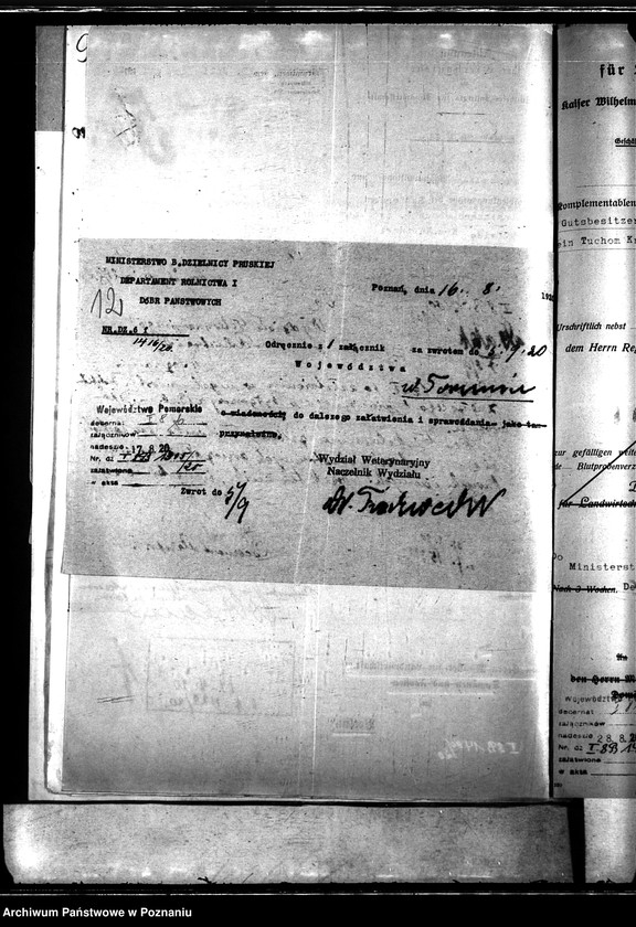 Obraz 16 z jednostki "Nosacizna - Kartuzy"