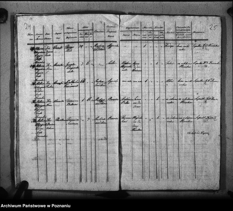 image.from.unit.number "Liber baptisatorum, copulatorum, mortuorum"