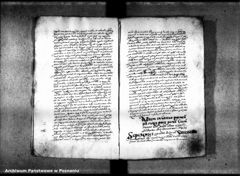 Obraz 12 z jednostki "Inscriptiones [inducta]"